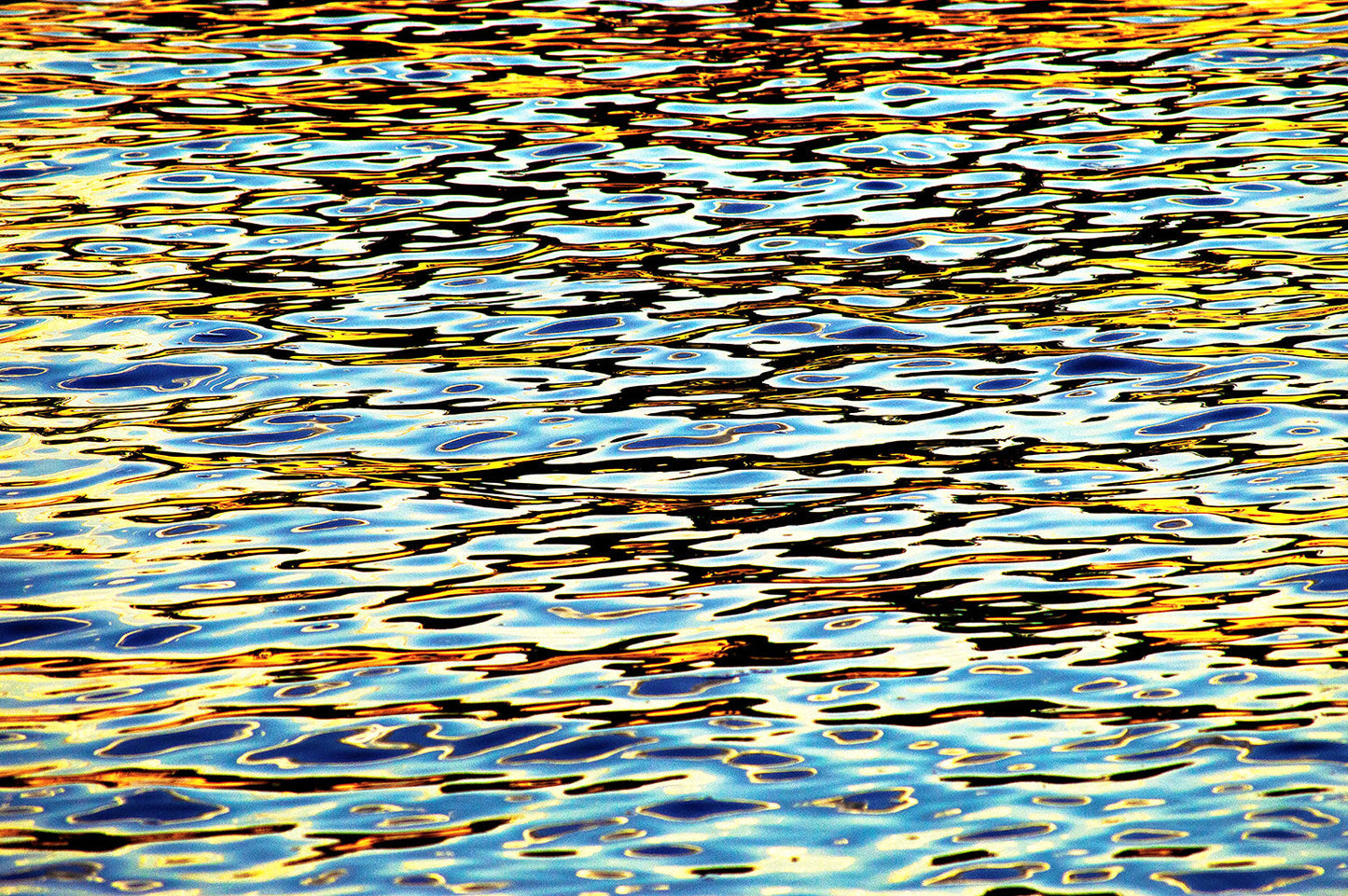 Fernando Brentano, Enchente 1