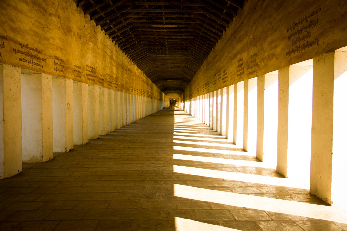 Emi Takahashi, Corredor de luz