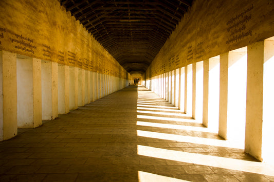 Emi Takahashi, Corredor de luz