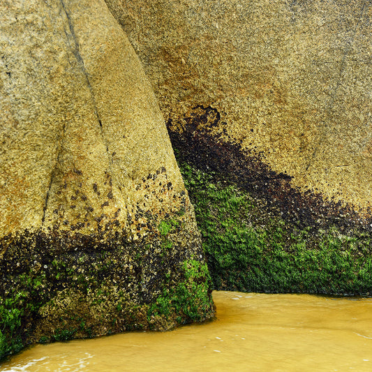 Fernando Brentano, Marinha 21