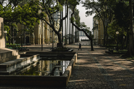 Andre G. Antunes, Praca da alfandega